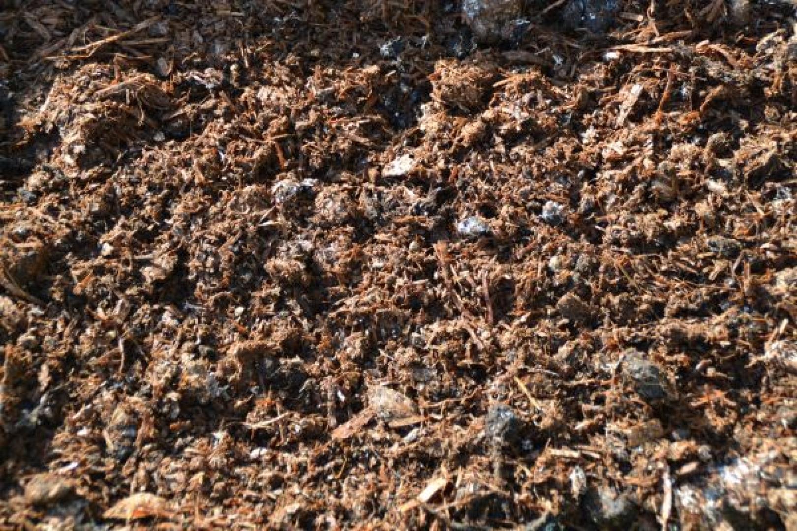 Handboek Bodembiologie en ziektewering