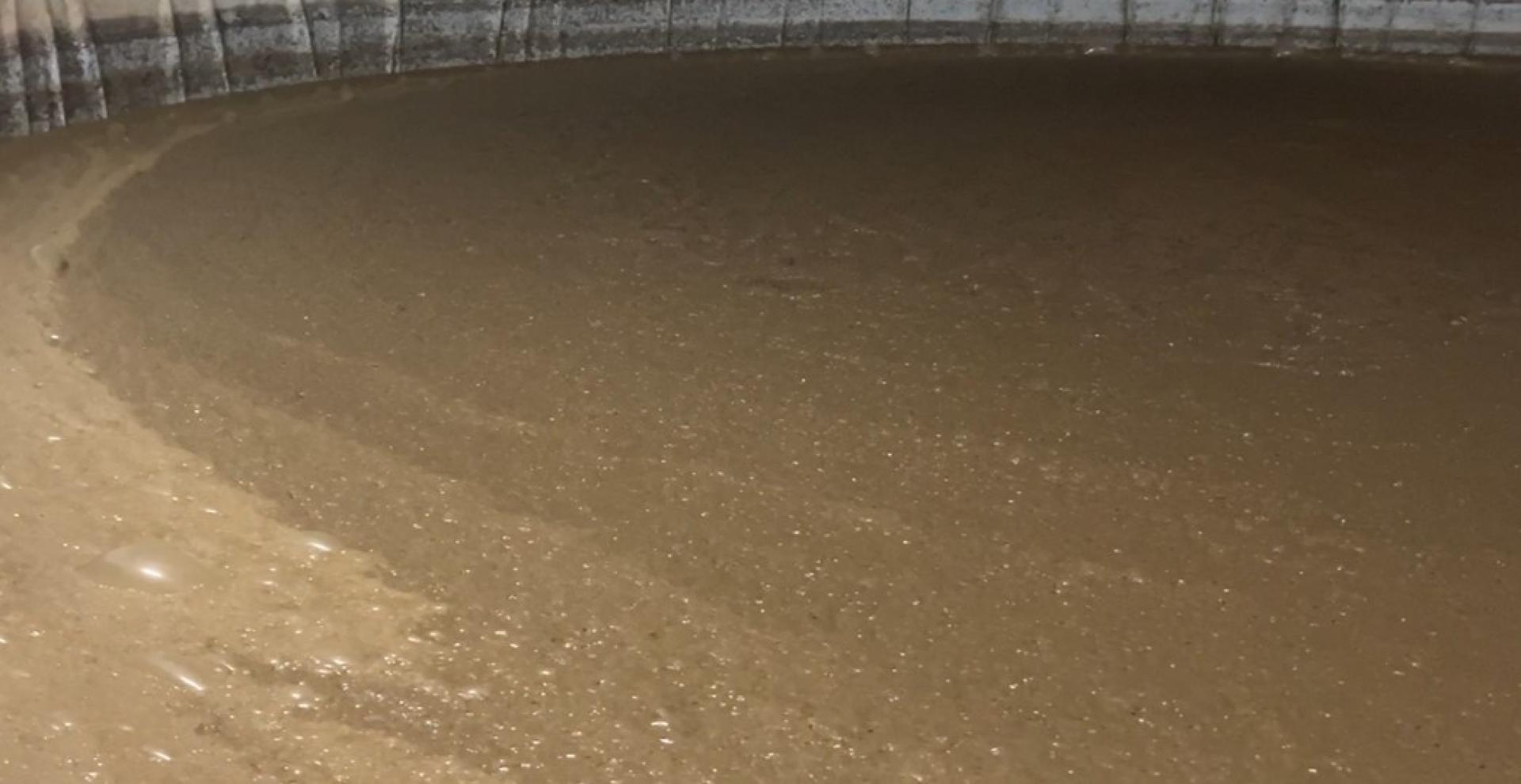 Beperkt koelen van mest reduceert methaanemissie fors, effect op ammoniak nog onduidelijk